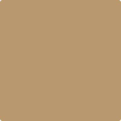 1062-Baked: Cumin a paint color by Benjamin Moore avaiable at Clement's Paint in Austin, TX.