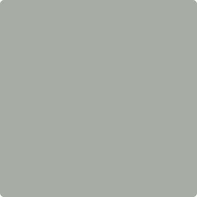 HC-179: Platinum Gray a paint color by Benjamin Moore avaiable at Clement's Paint in Austin, TX.