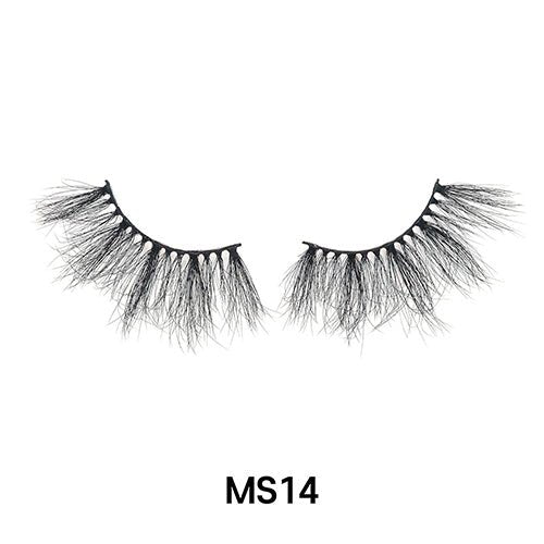 MS14