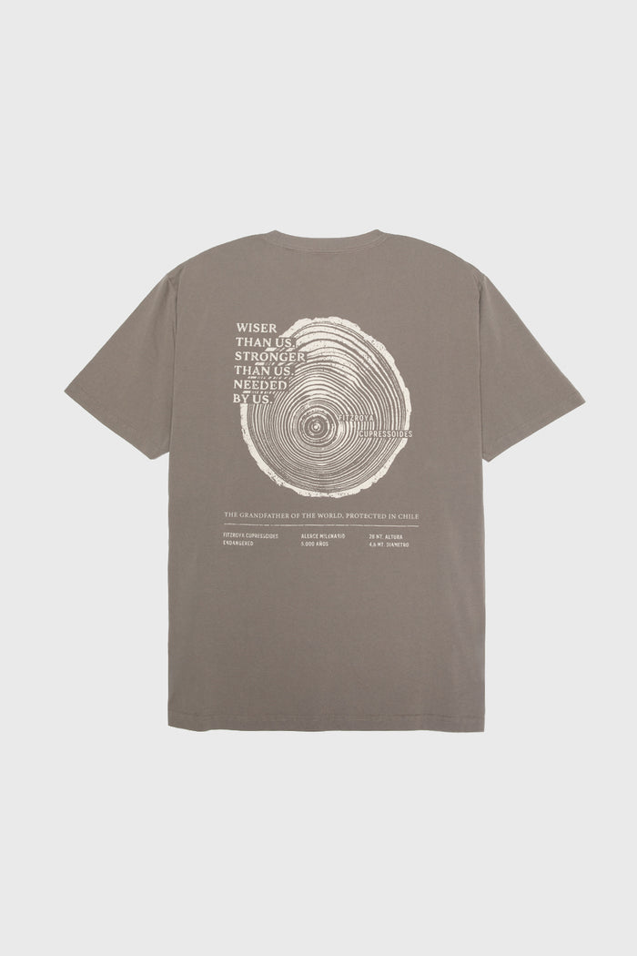 Polera Alerce Milenario Orgánica Café Hombre