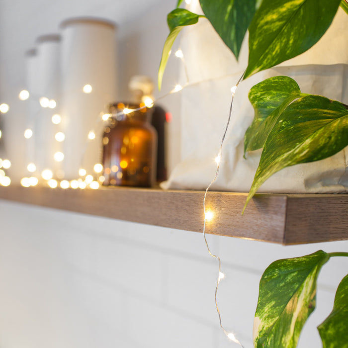 100 Warm White Led Micro Fairy Lights 2