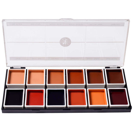 12 Color Dark Flesh Tone Alcohol Activated Palette open case