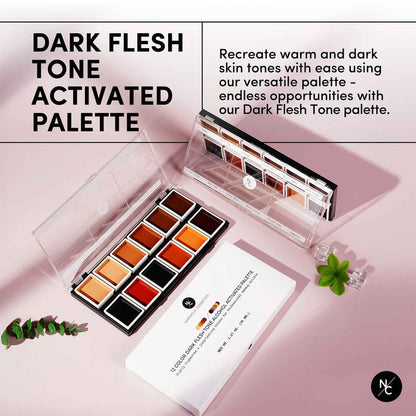 Dark Flesh Tone Alcohol Activated Palette product guide