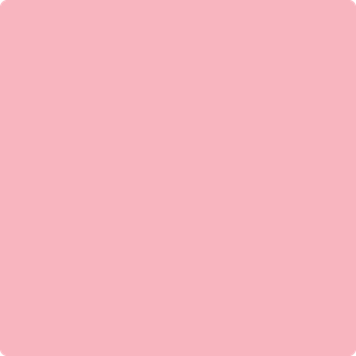 1311-Confetti:  a paint color by Benjamin Moore avaiable at Clement's Paint in Austin, TX.