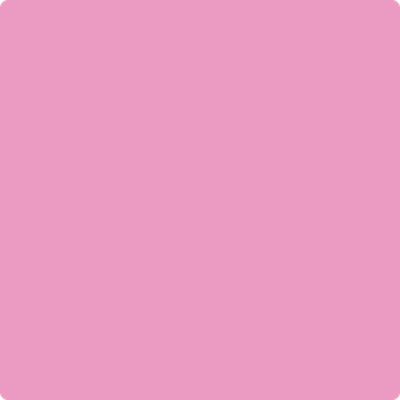 1346-Island: Sunset  a paint color by Benjamin Moore avaiable at Clement's Paint in Austin, TX.