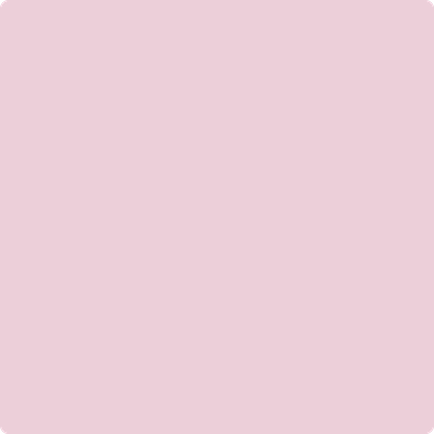 1360-Misty: Rose  a paint color by Benjamin Moore avaiable at Clement's Paint in Austin, TX.