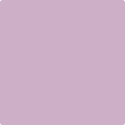 1376-Angelina:  a paint color by Benjamin Moore avaiable at Clement's Paint in Austin, TX.