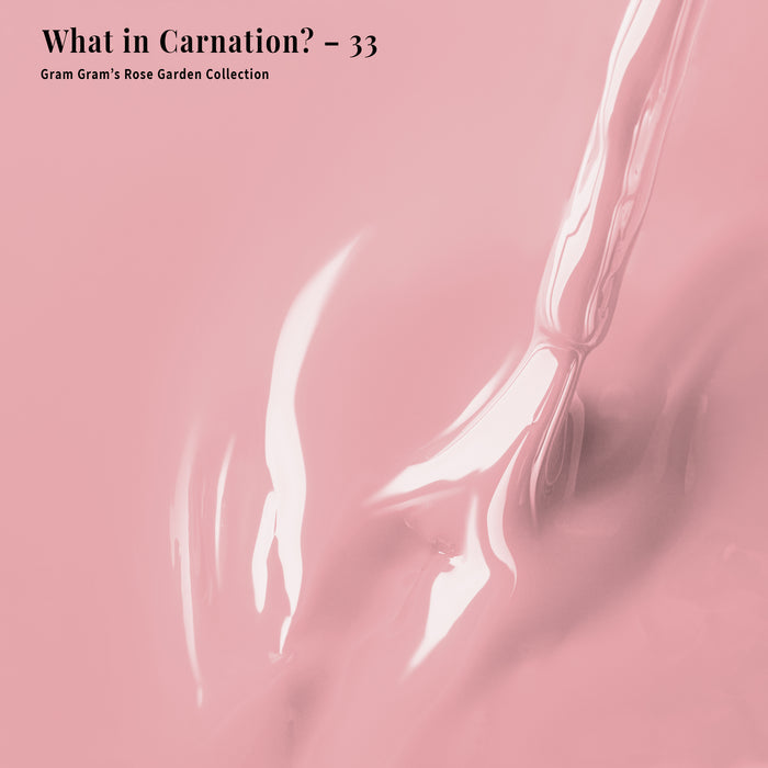 4-in-1 What in Carnation? - 33