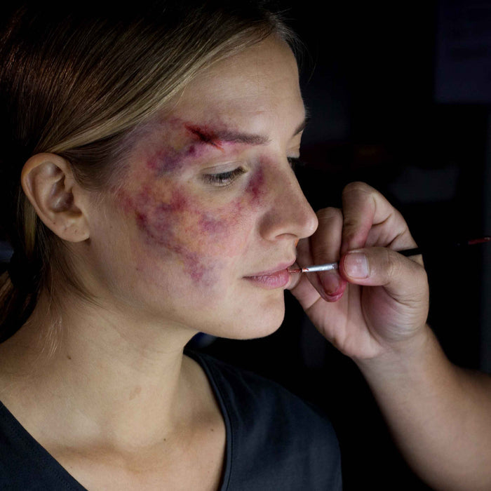 6-Color On-Camera Primary Alcohol-Activated Palette