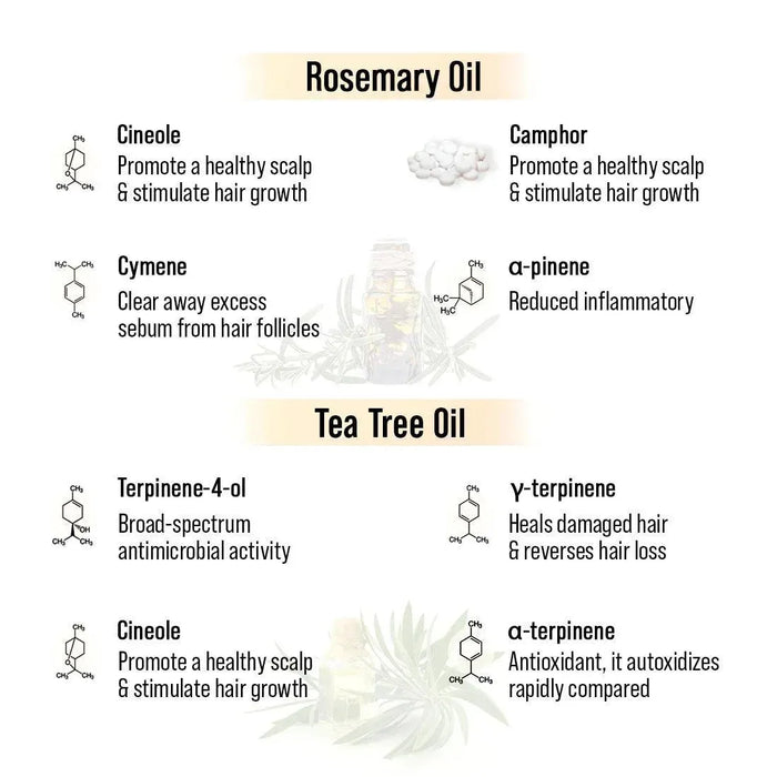 Alopex Long N Strong Hair Oil with Rosemary & Tea Tree Essential Oil – Strengthens Hair, Reduces Hair Fall, Promotes Hair Growth & Nourishes Hair Follicles & Scalp - Keya Seth Aromatherapy