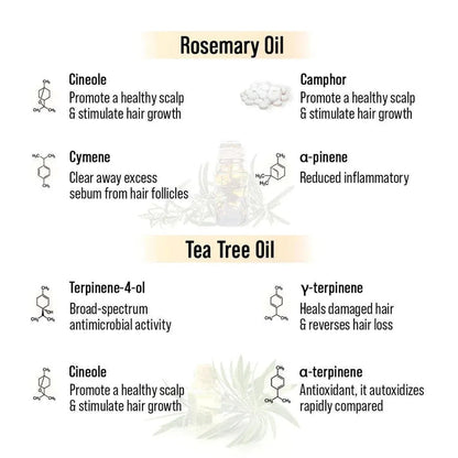 Alopex Long N Strong Hair Oil with Rosemary & Tea Tree Essential Oil – Strengthens Hair, Reduces Hair Fall, Promotes Hair Growth & Nourishes Hair Follicles & Scalp - Keya Seth Aromatherapy