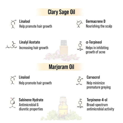 Alopex Long N Strong Hair Oil with Rosemary & Tea Tree Essential Oil – Strengthens Hair, Reduces Hair Fall, Promotes Hair Growth & Nourishes Hair Follicles & Scalp - Keya Seth Aromatherapy