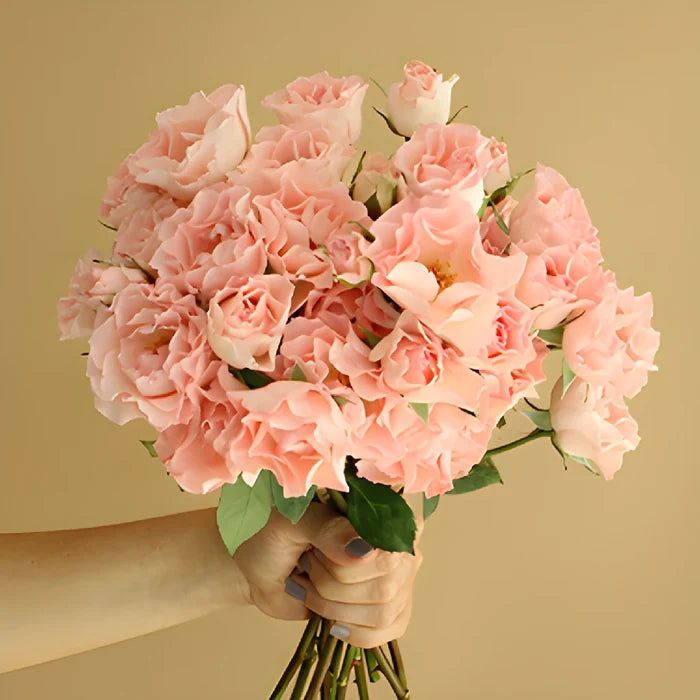 Spray Roses Constellation Bunch in hand