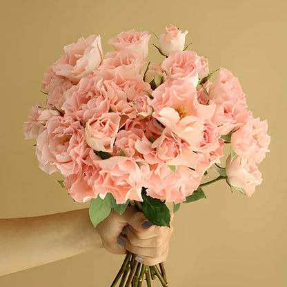 Spray Roses Constellation Bunch in hand