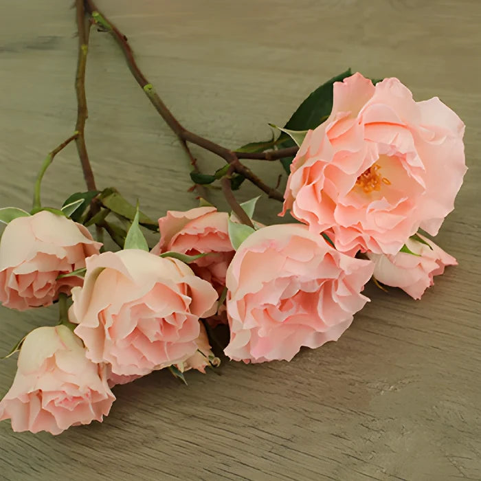 Anastasia Pink Spray Rose Bunch