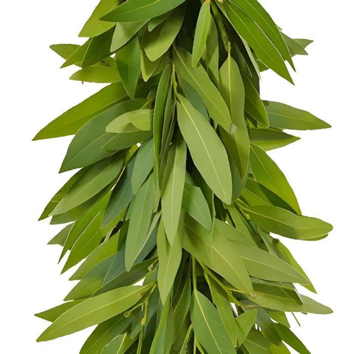 Bay Leaf Garland