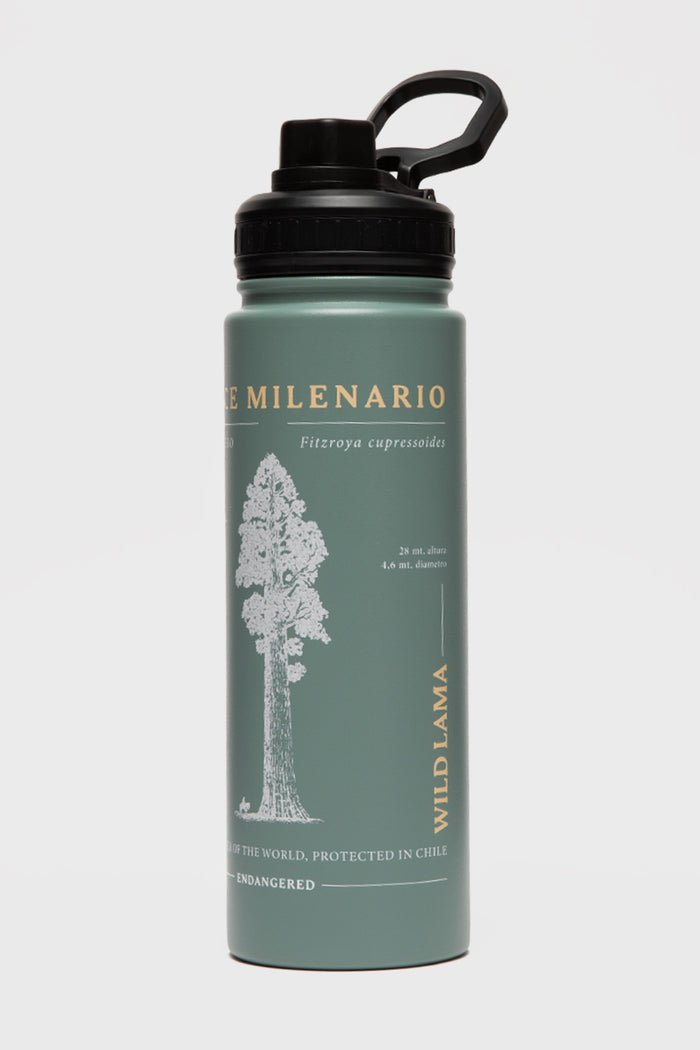 Botella Alerce Milenario Noa Con Causa Aqua Print Arbol