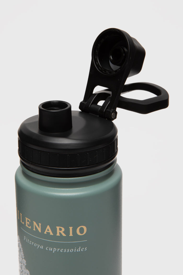 Botella Alerce Milenario Noa Con Causa Aqua Print Arbol