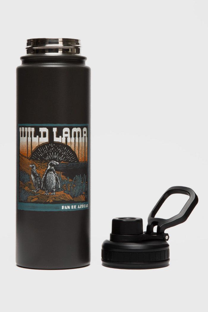 Botella Noa Con Causa Negra Print Pingüino