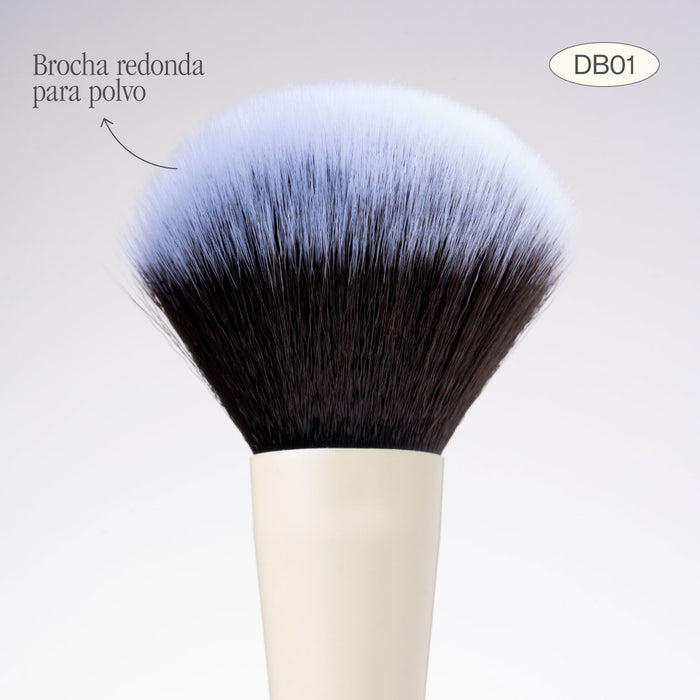 BROCHA DUO POLVO Y RUBOR