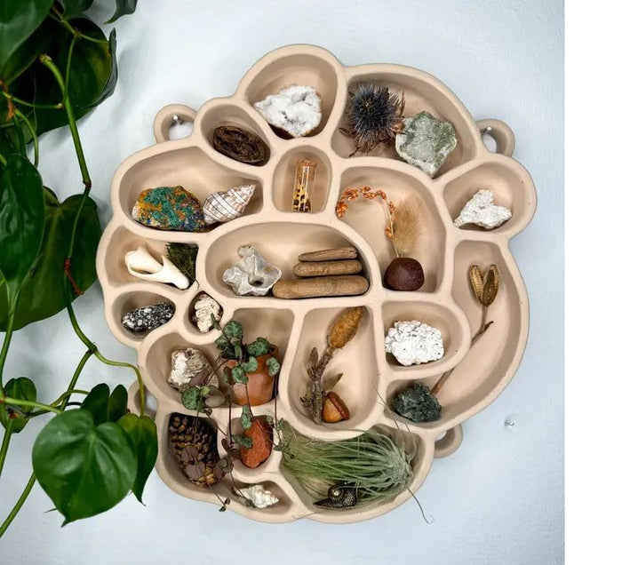 Sand cement inspiration shelf, round beige wall piece with many curved compartments and inserts.