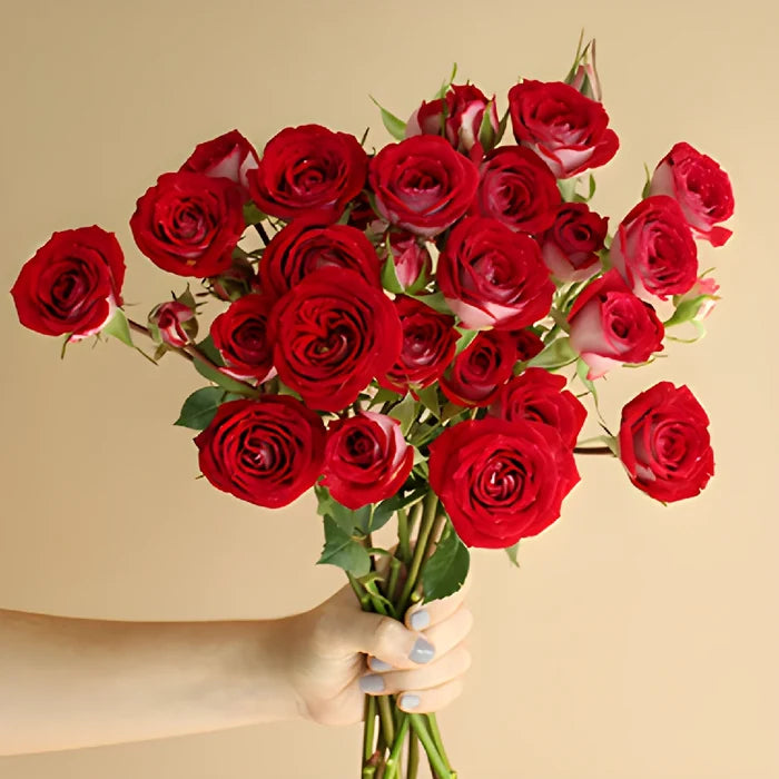 Cherry Pie Red Spray Roses