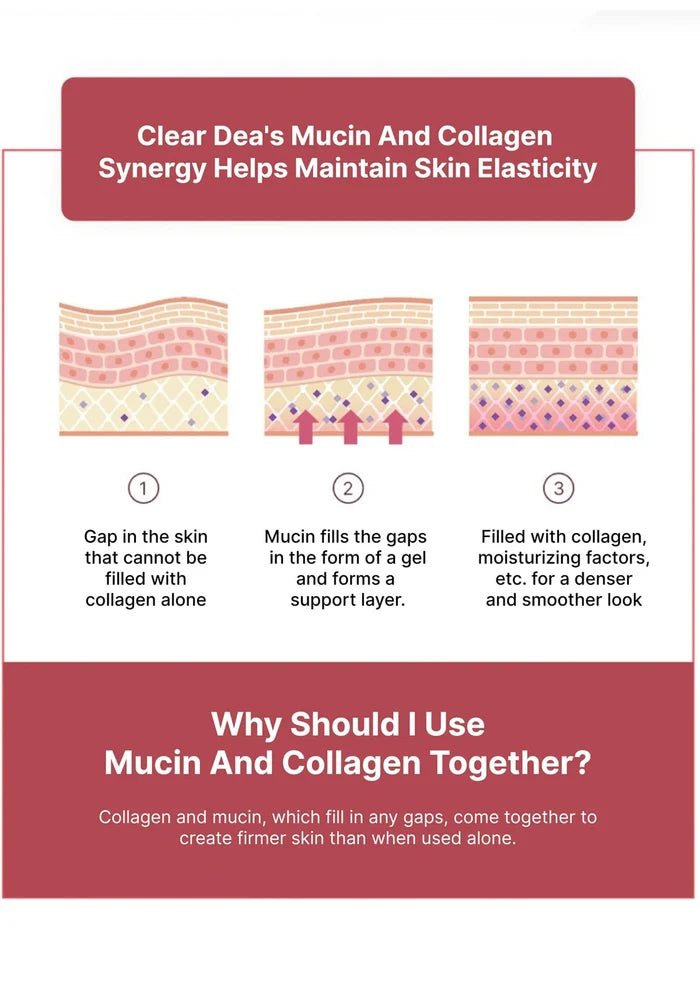 Diagram explaining mucin and collagen synergy for skin elasticity with text on a red and white background.