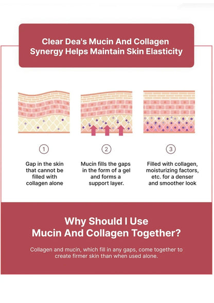 Diagram explaining mucin and collagen synergy for skin elasticity with text on a red and white background.
