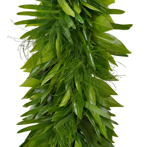 Cocculus, Coontie and Tree Fern Greens Garland