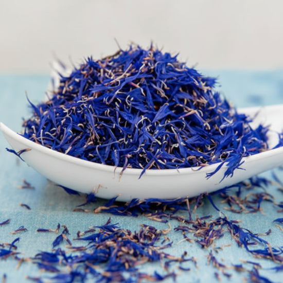 White spoon filled with blue dried flowers on a light blue surface