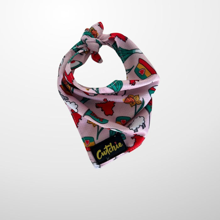 'Cwtchie' Dog Bandana - Medium (Pink)