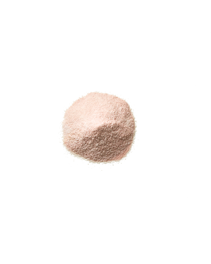 Debloat: Prebiotic + Probiotic Florida Orange