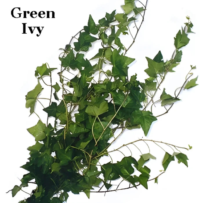 Fern and Ivy Greens Garland