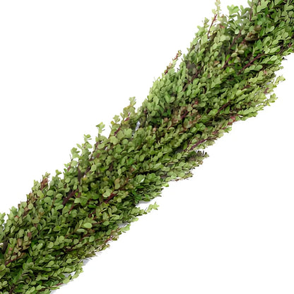 Fresh Boxwood Garland