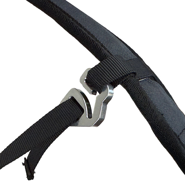 Double-D buckle