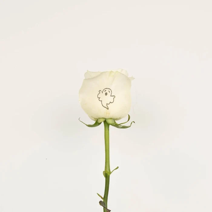 Glow In The Dark Ghost White Rose Vase - Image