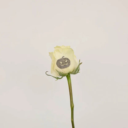 Glow In The Dark Jack O Lantern Roses Stem - Image