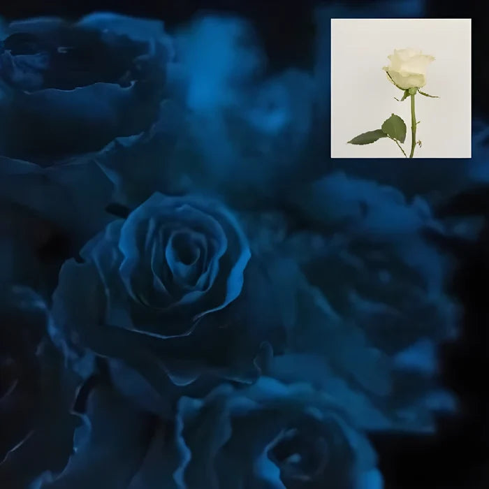 Glow In The Dark Roses - Image
