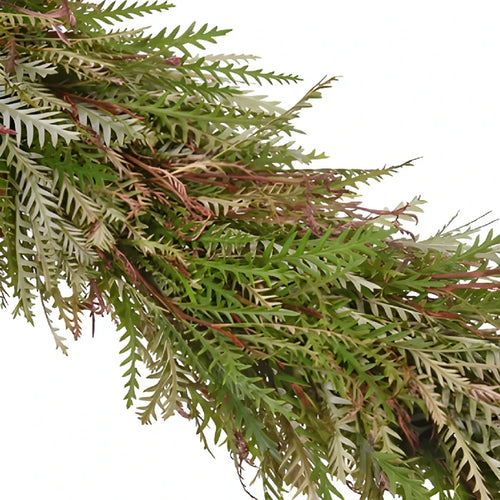 Grevillea Greens Garland