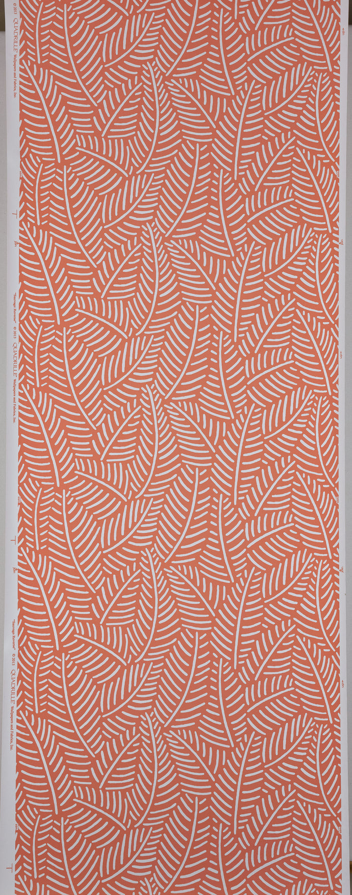 Coral leaf pattern on a white background