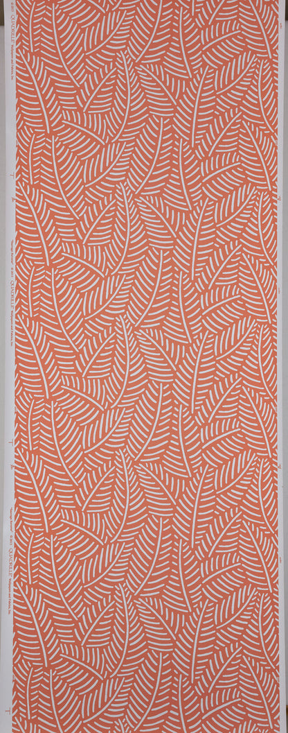 Coral leaf pattern on a white background