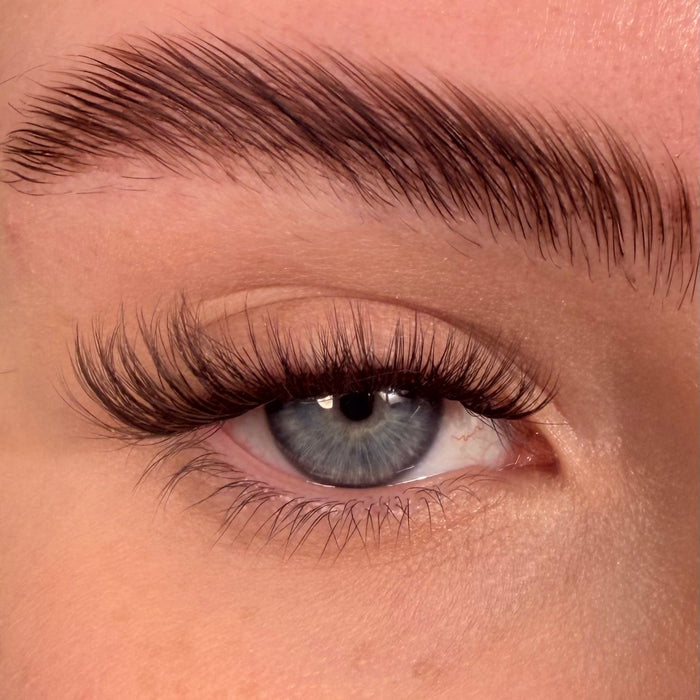 Hybrids in Cocoa Ganche Super Pre-Glued Lashes - Unicorn Cosmetics