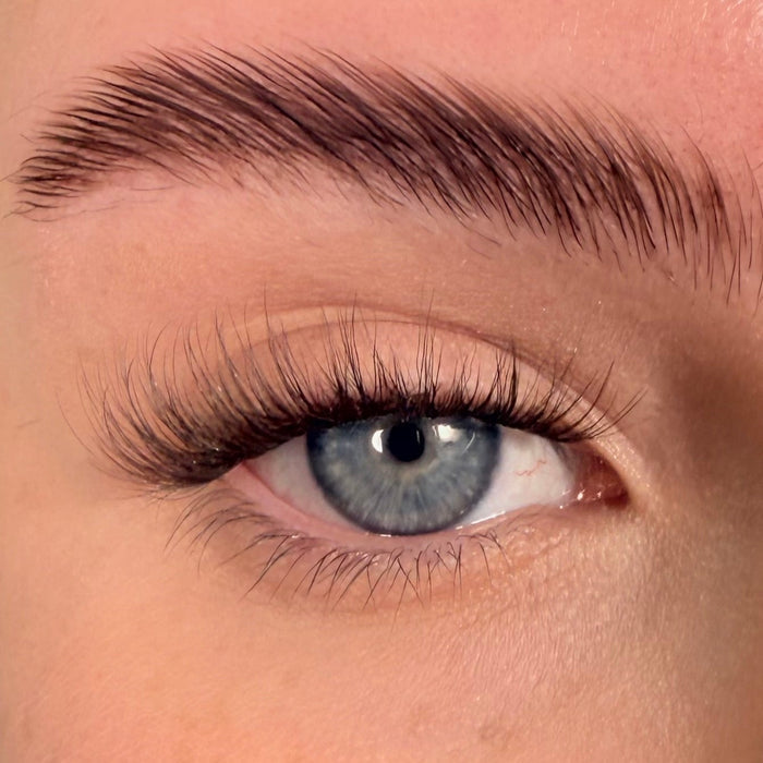 I.F.L.Y. in Cocoa Ganche Super Pre-Glued Lashes - Unicorn Cosmetics
