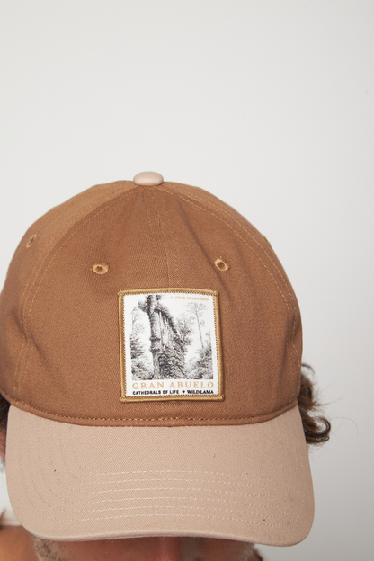 Jockey Árbol Alerce Milenario Con Causa Camel CHIP NFC
