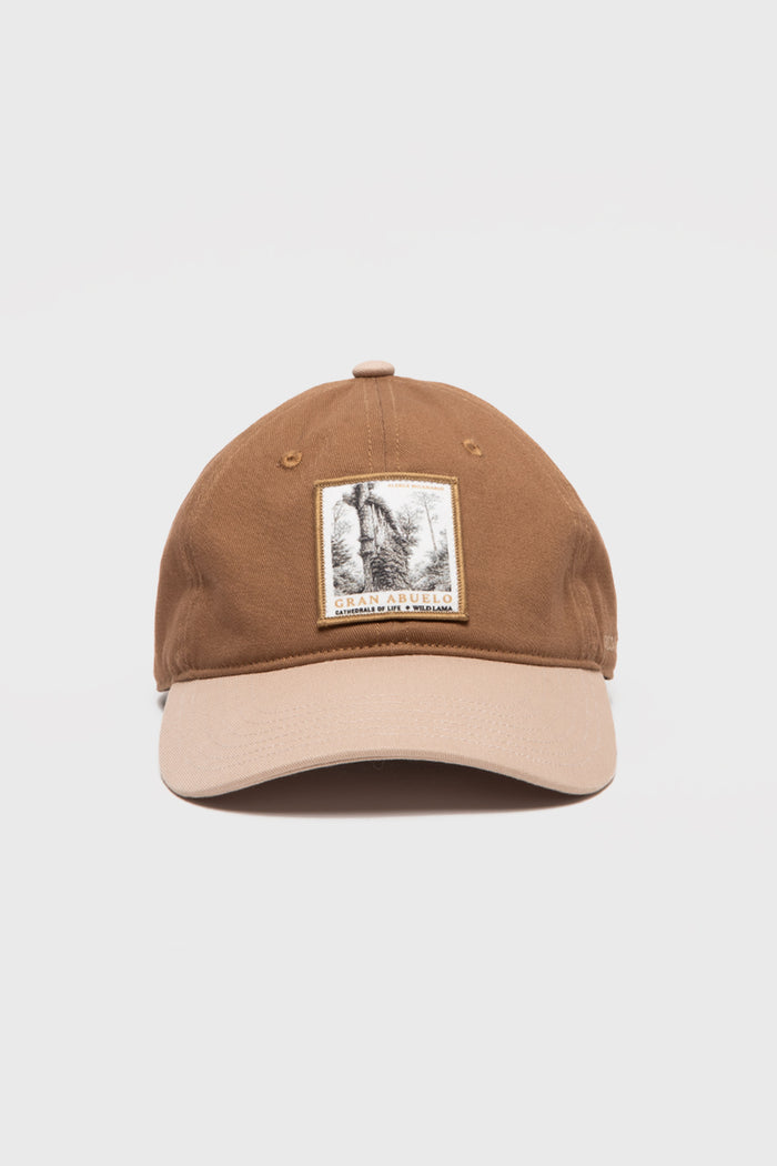 Jockey Árbol Alerce Milenario Con Causa Camel CHIP NFC