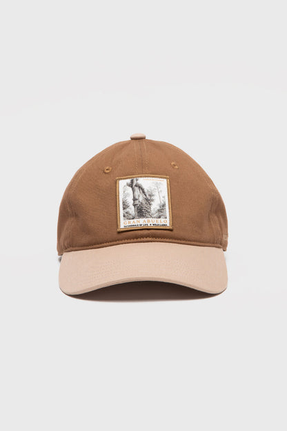 Jockey Árbol Alerce Milenario Con Causa Camel CHIP NFC