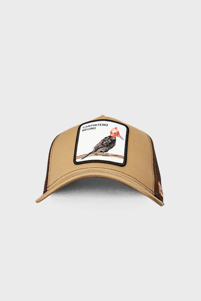 Jockey Carpintero Con Causa Beige Kids