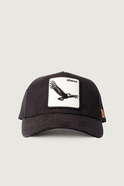 Jockey Cóndor Suede Negro | Wild Lama
