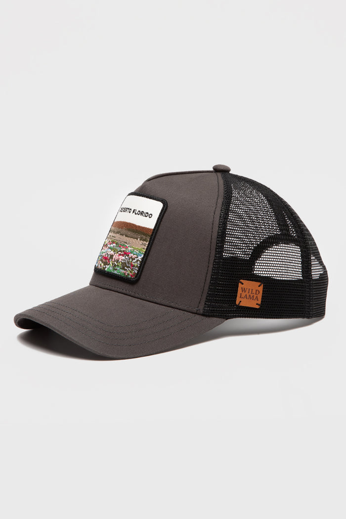 Jockey Desierto Florido Con Causa Gris