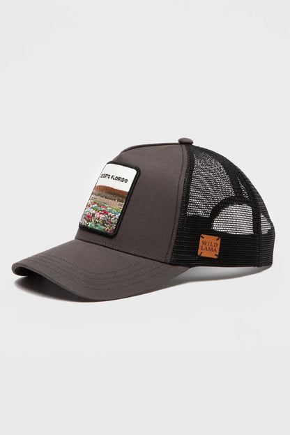 Jockey Desierto Florido Con Causa Gris